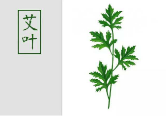 端午节的艾叶