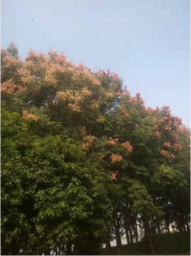 云赚网：以后每个月写写月总结报告！记录网站发展和遇到的困难！