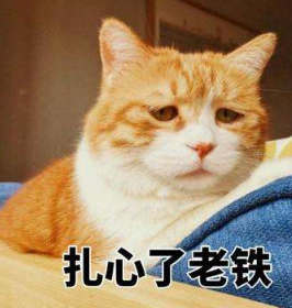 QQ图片20191123133942.png