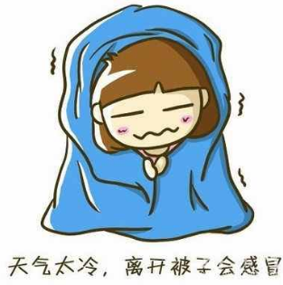 云赚网：十二月份月报，总结和未来的规划！