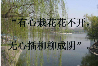 有心栽花花不开,无心插柳柳成荫，手机赚钱跟风不一定好
