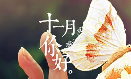 第十一个月：要么不干，要么猛干，心态怂了，就等于输了！