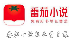 番茄小说提现骗局！15元的额度不能提？