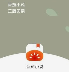 番茄免费小说提现失败被退回?看看我怎么提现成功的！