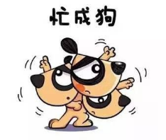 每天都忙的起飞，可是一点都不想休息！