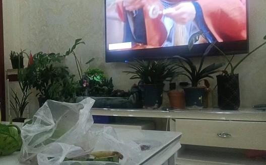 外号，网站降权了（网站降权多久能恢复）