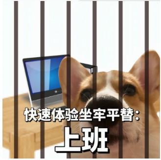 创业才是人生最精彩的选择
