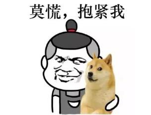 一个月不更新 喜提降权（这回我真没意见）