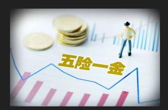别人羡慕我网站权重，我羡慕别人有五险一金