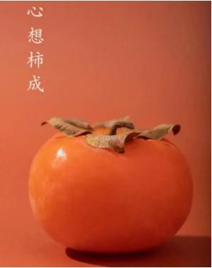 有柿真的可以赚钱吗（类似小红书孵化类的种草app）