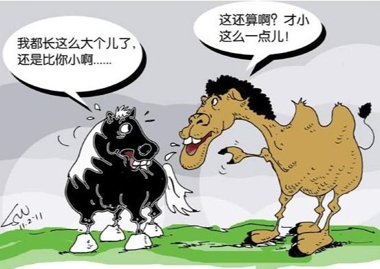 云赚网月报，又一次想放弃的念头