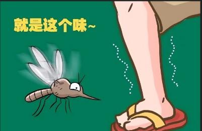 yun20安卓应用网月报，更新的文章比较少，收录还算是不错的~~