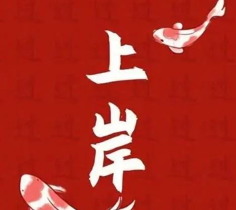 感觉今年干公众号能搞到钱！